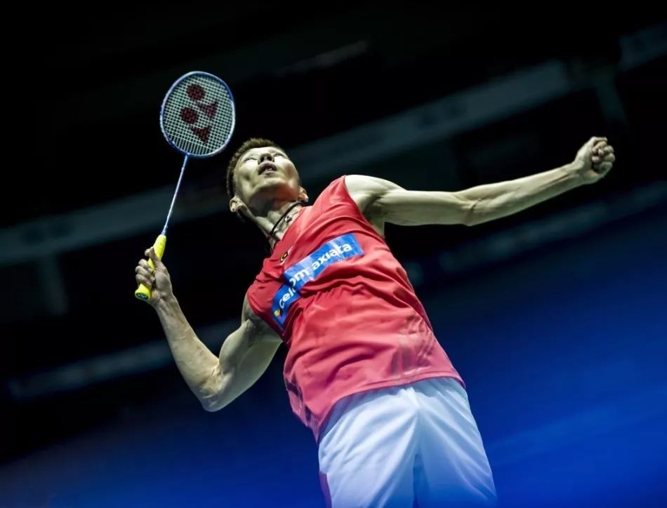 他们会关注 他们会关注