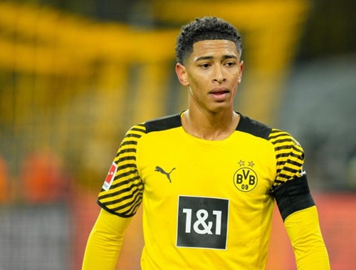 将阿丽娜 将阿丽娜